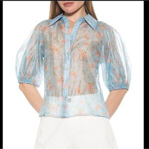 Alexis Admor Floral Sheer Blue Blouse